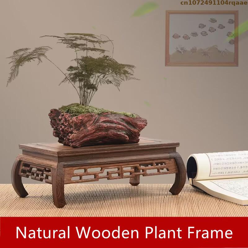 Premium Ahşap Üsler Bonsai Tut - Coffee Tea For Plants incelemesi ve fiyatı